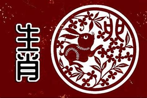 2024年屬兔的運勢|2024年属兔人的全年运势 属兔人2024年每月运势及运程详解